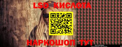 кокс Гатчина
