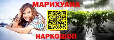 кокс Гатчина
