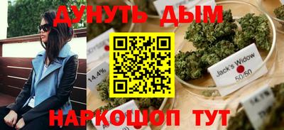 кокс Гатчина