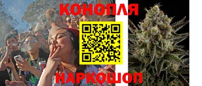 кокс Гатчина