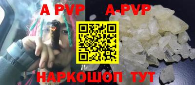 кокс Гатчина